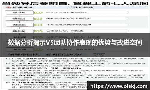 数据分析揭示V5团队协作表现的优势与改进空间
