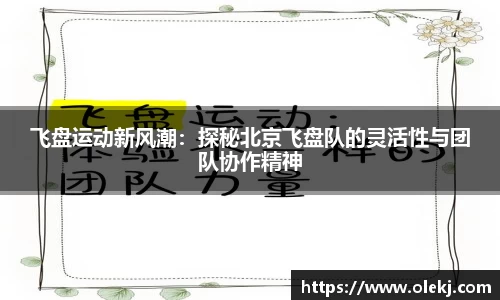 mk体育官网入口