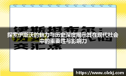 mk体育官网入口